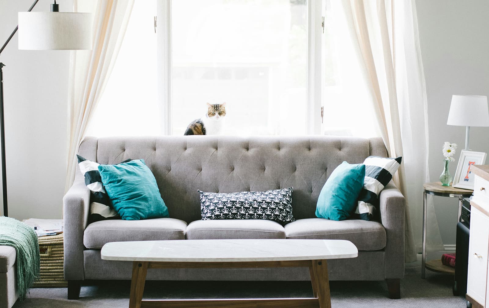 The Best Replacement Window Companies in Fremont, California for High-Quality, But Still Affordable, Windows